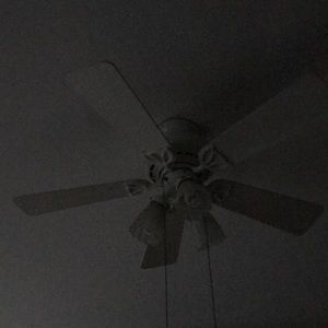 Meet your Posher, Jenn